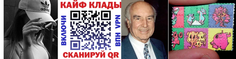 Где купить наркоту Подпорожье APVP Галлюциногенные грибы МЕФ