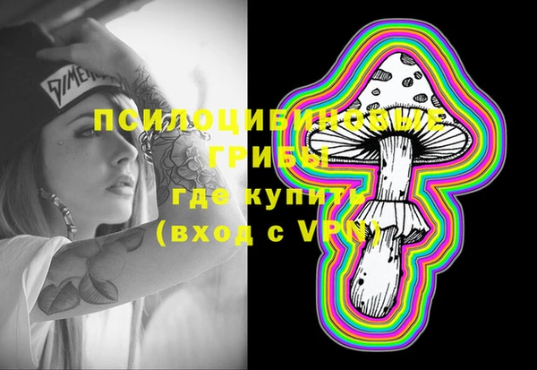 мдпв Балахна