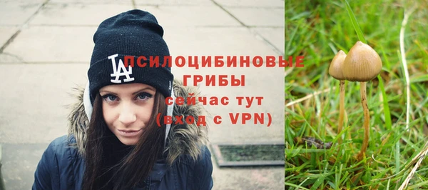 PSILOCYBIN Балабаново