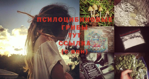 PSILOCYBIN Балабаново