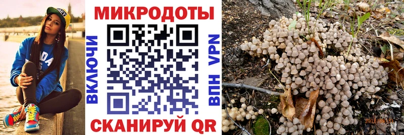 Псилоцибиновые грибы мухоморы  наркотики  Подпорожье 